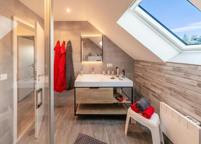 Premium-plus-ferienhaus Skadi Ii Feriehus Hasselfelde